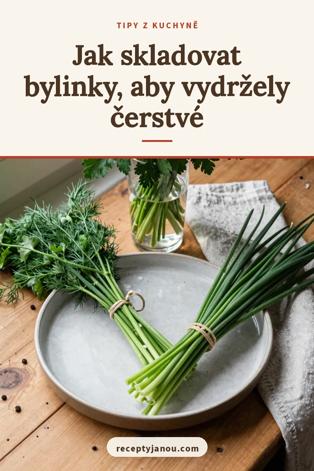 Jak skladovat bylinky, aby vydržely čerstvé